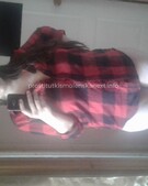 Анкета проститутки Мишель - метро Дмитровский, возраст - 24